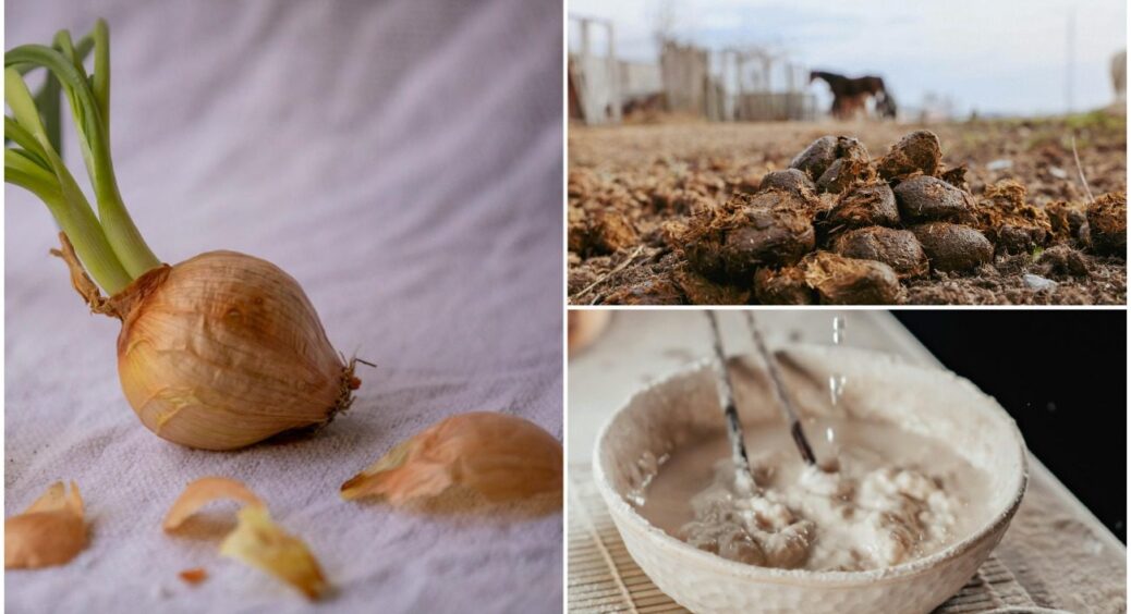 Це в 100 разів швидше, ніж компост: три найпростіші підживлення з миттєвим приготуванням 