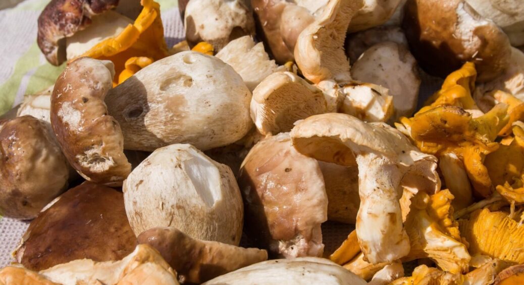 Тонкі ніжні налисники з грибами: додаємо 1 секретний інгредієнт, і гості не зможуть відірватися 