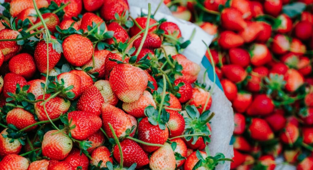 Що зробити з полуницею, якщо ви дійсно налаштовані на добрий врожай: без цього зараз не обійтися 