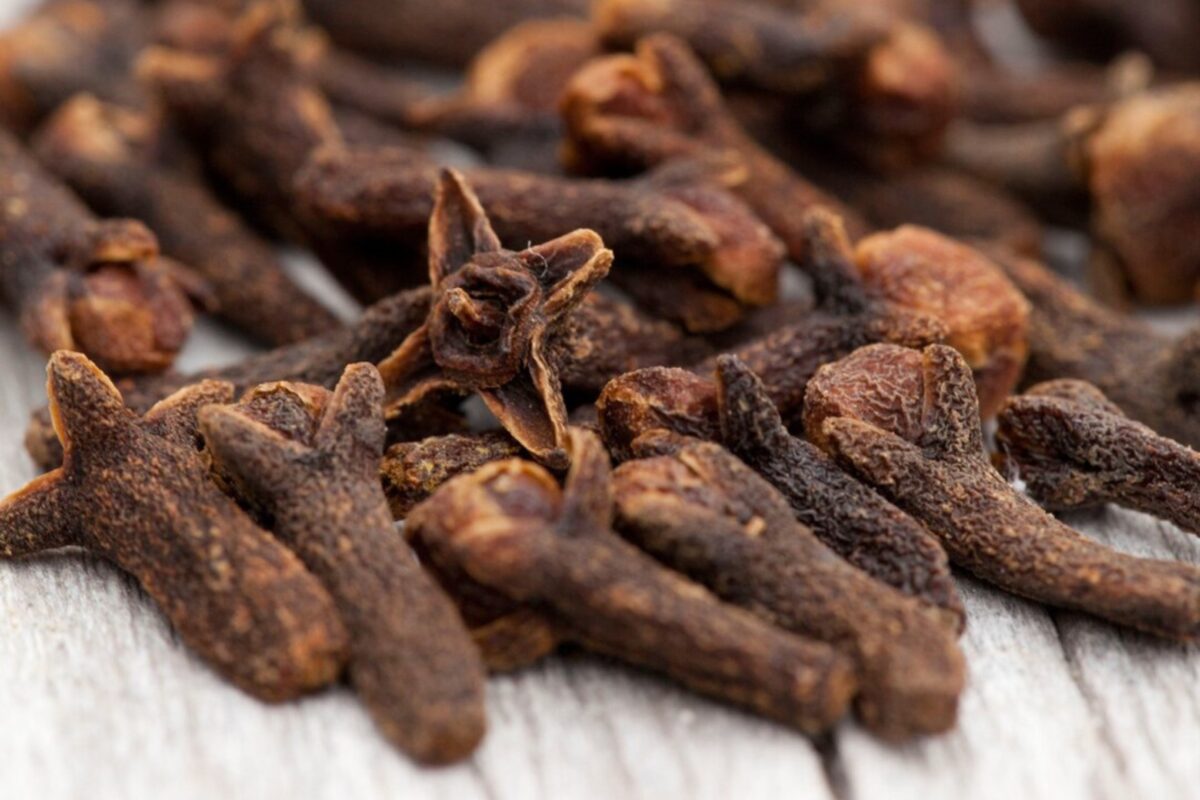 Городники розсекретили рослину, яка здатна знищити попелицю Городники розсекретили рослину, яка здатна знищити попелицю