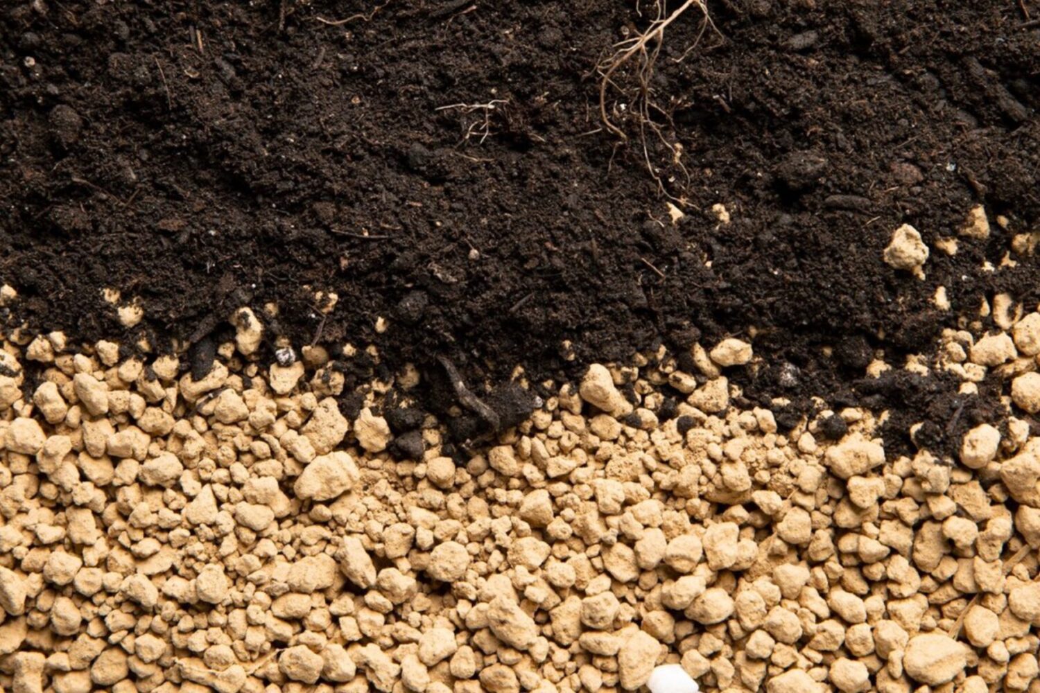 Городники розповіли, яке мінеральне добриво краще обрати для підживки рослин Городники розповіли, яке мінеральне добриво краще обрати для підживки рослин