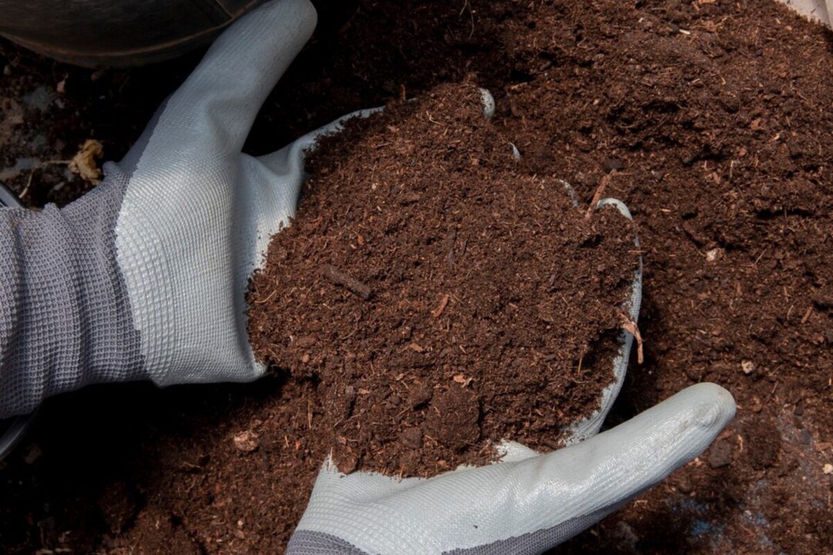 Городники розповіли, яке мінеральне добриво краще обрати для підживки рослин Городники розповіли, яке мінеральне добриво краще обрати для підживки рослин