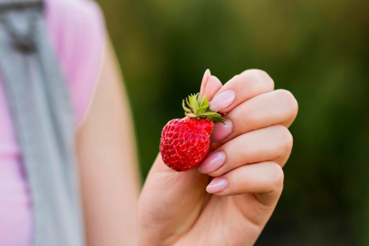 Садівники розповіли, через які помилки може знизитись врожайність полуниці