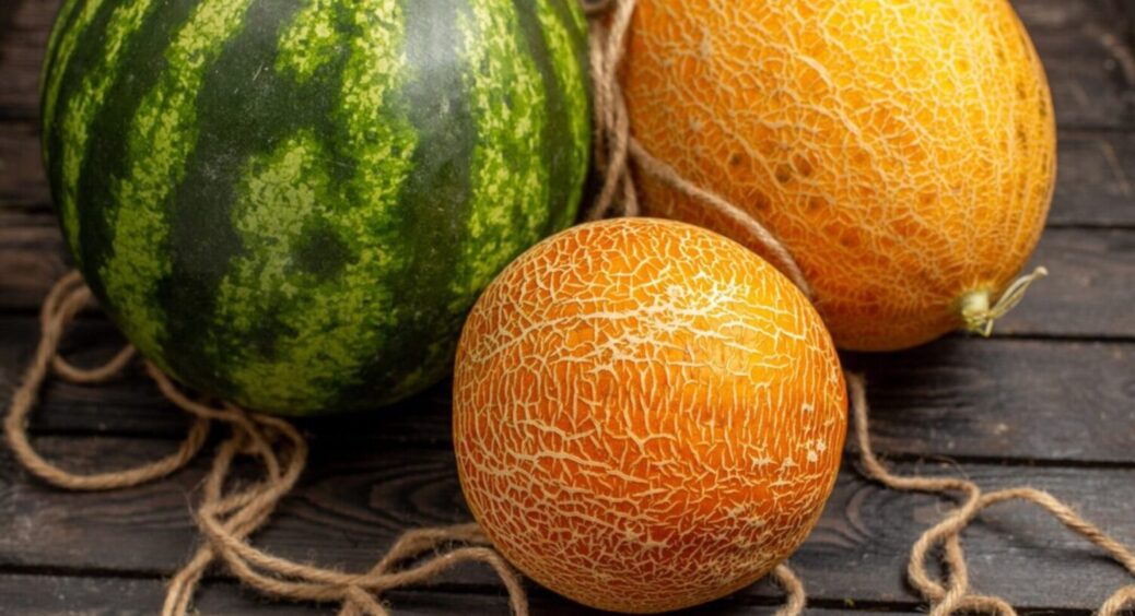 Приготуйтеся до посадки кавунів і динь: ось у які терміни краще почати займатися розсадою 