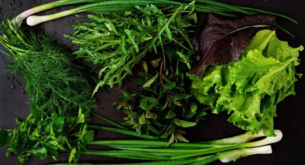 Зростатиме в промислових масштабах: як виростити “найдорожчу” зелень – і собі, і всім подружкам 