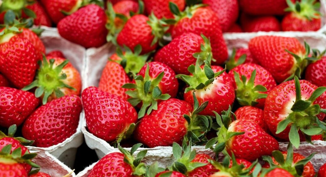 Якщо мрієте про солодку полуницю, знайдіть 1 продукт на кухні: ягода буде, наче мед 