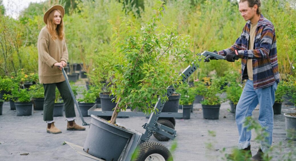 “Не купуйте саджанці дерев до 20 жовтня”: ось чому досвідчений садівник заборонив раніше 