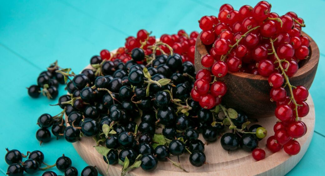 Весняне підживлення чорної та червоної смородини: садівники назвали 2 відмінності 