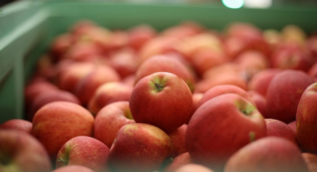 Встигніть до 20 квітня: що зробити з яблунею, щоб отримати мега-крутий урожай у 2025 році 