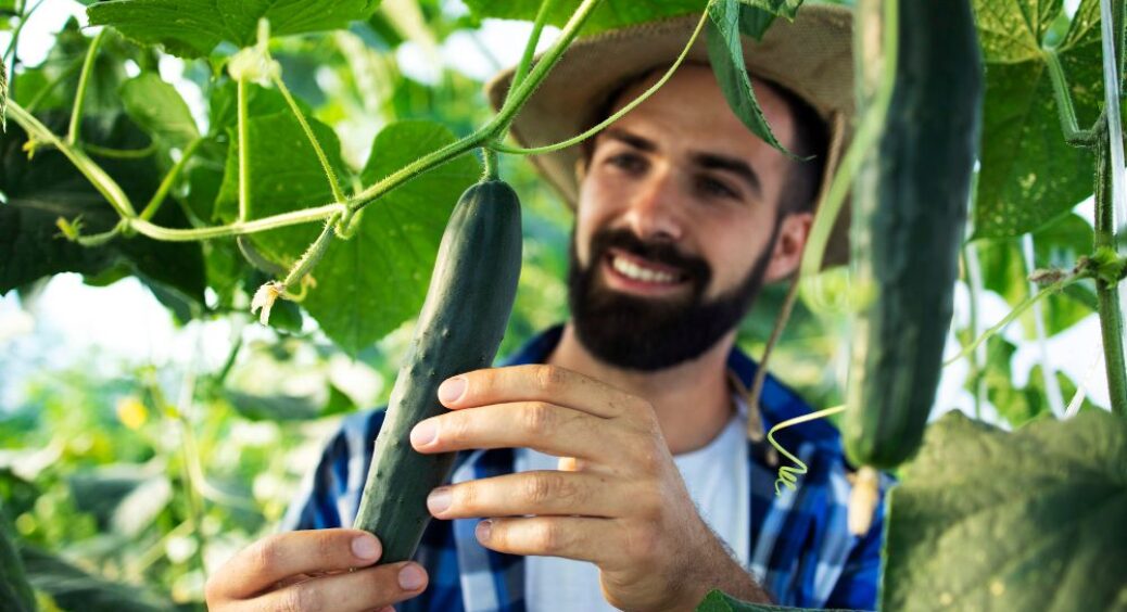 Встигніть до кінця травня: що можна досіяти під кінець весни, якщо щось не зійшло – 5 варіантів 