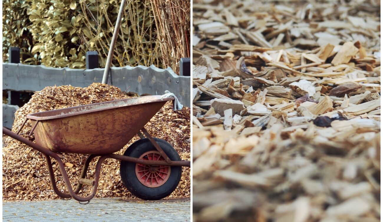 З чого приготувати мульчу при спекотному літі