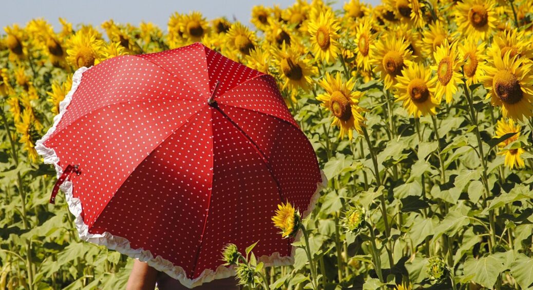 Яка сьогодні погода: 20 травня – прогноз по Україні – опади, вітер, температура повітря 