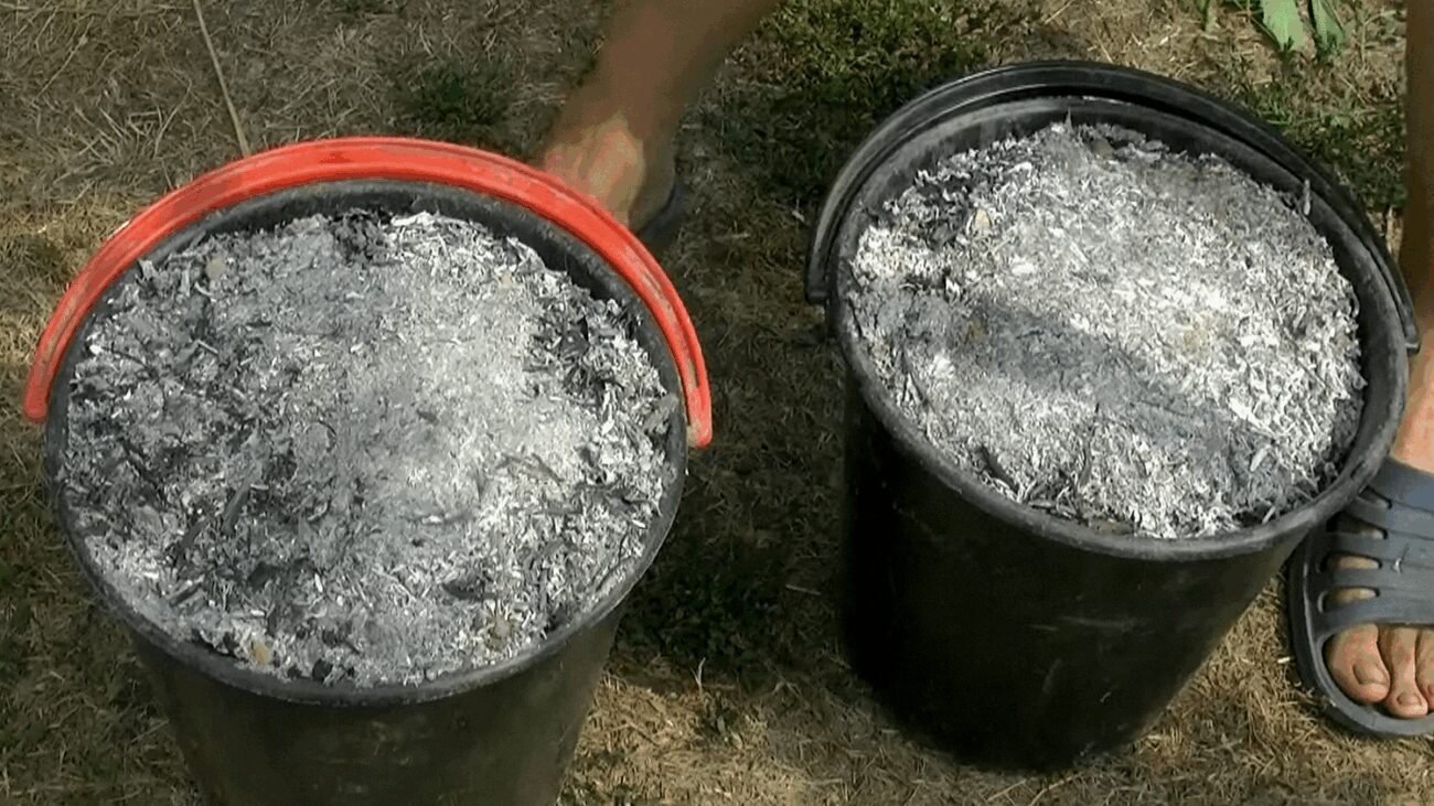 Аграрії пояснили, чому попіл вважається найкращим добривом для городу