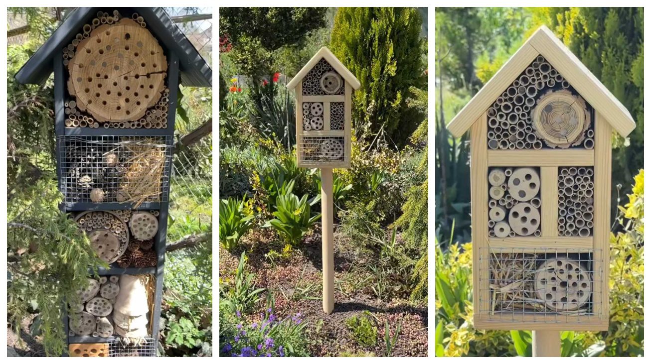 Садівники пояснили, для цього ставити в городі готелі для диких бджіл