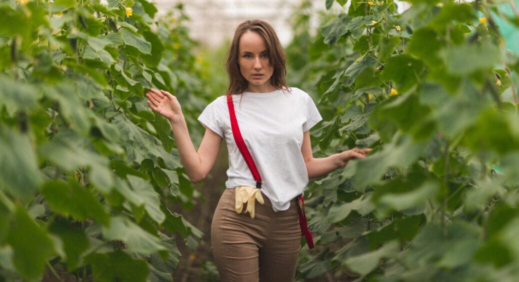 Навіть 10 см можуть вплинути на врожайність: фермери пояснили, на якій відстані саджати огірки 