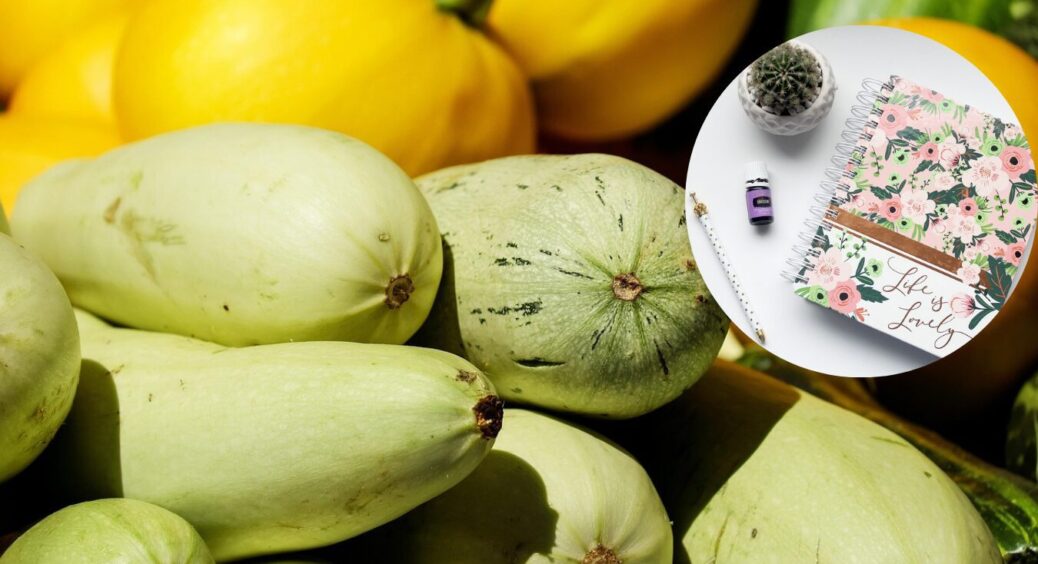 Посівний календар 2025: коли сіяти кабачки – сприятливі дати і 7 правил щедрого врожаю 