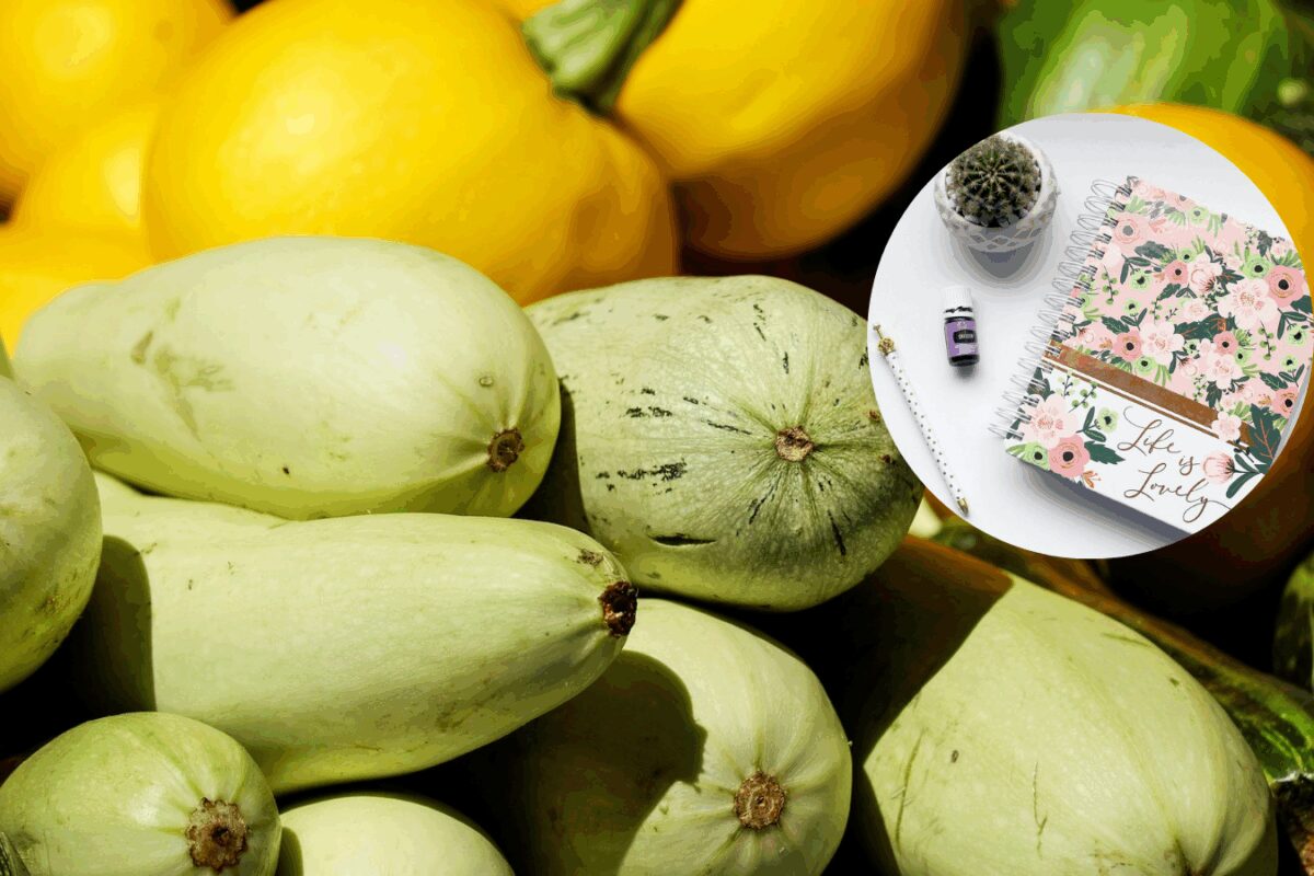 Посівний календар 2025: коли сіяти кабачки на грядки в травні 2025