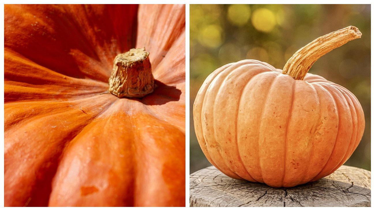 Експерт назвав 3 ідеальні сорти гарбузів для мʼясних страв