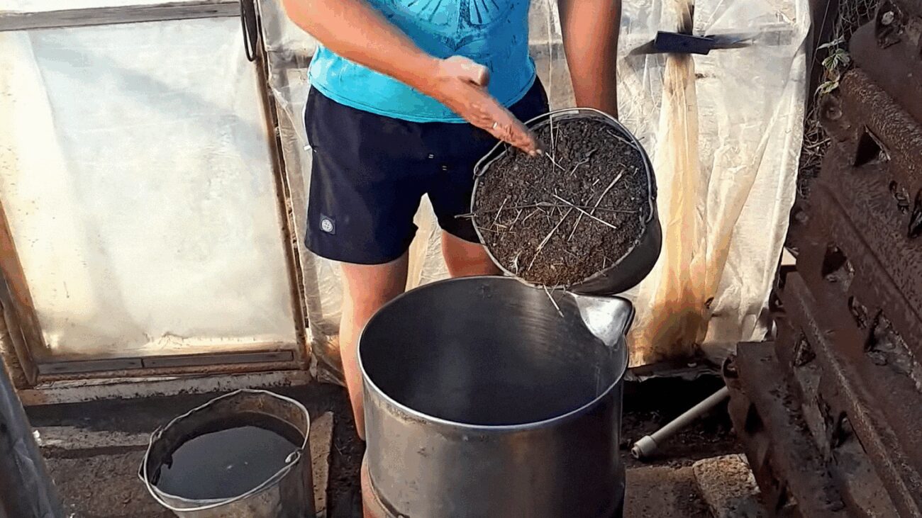 Агрономи назвали 3 найефективніших добрива для аґрусу