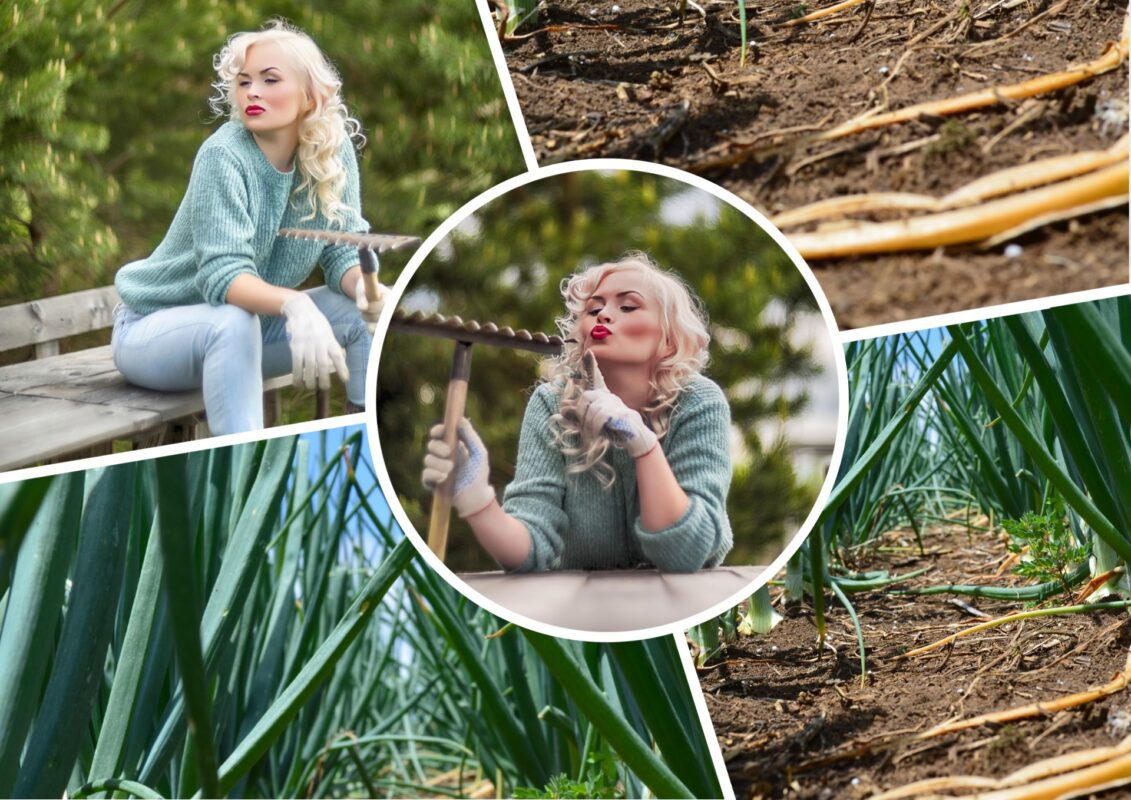 Садівники пояснили, з якими речами працювати на городі буде легше