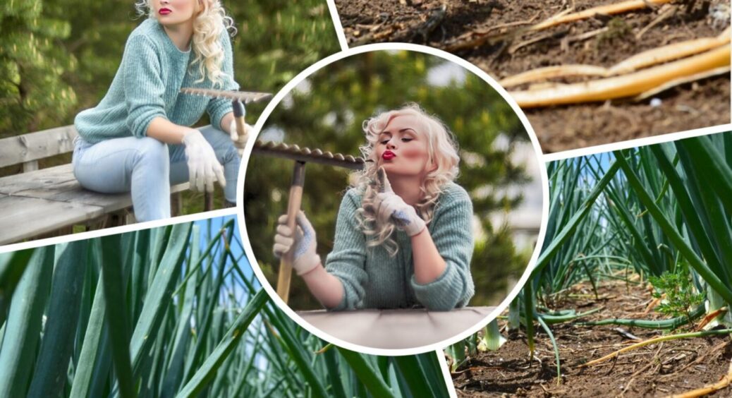 Працювати на городі без втоми: 2 мега-лайфхаки 2025 року, з якими дача – в задоволення 