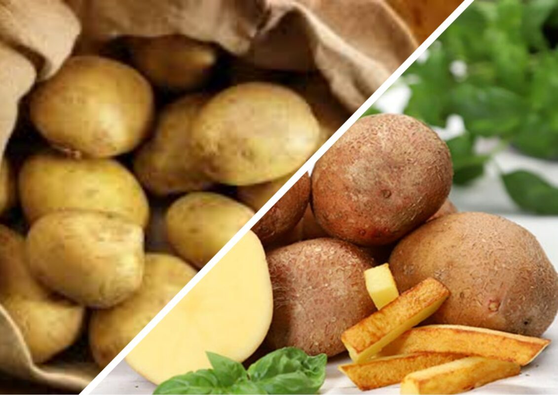 Найбільш морозостійкі сорти картоплі