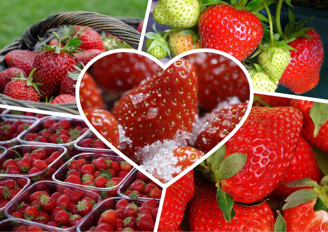 Кулінари пояснили, як зберегти стиглу полуницю без холодильника
