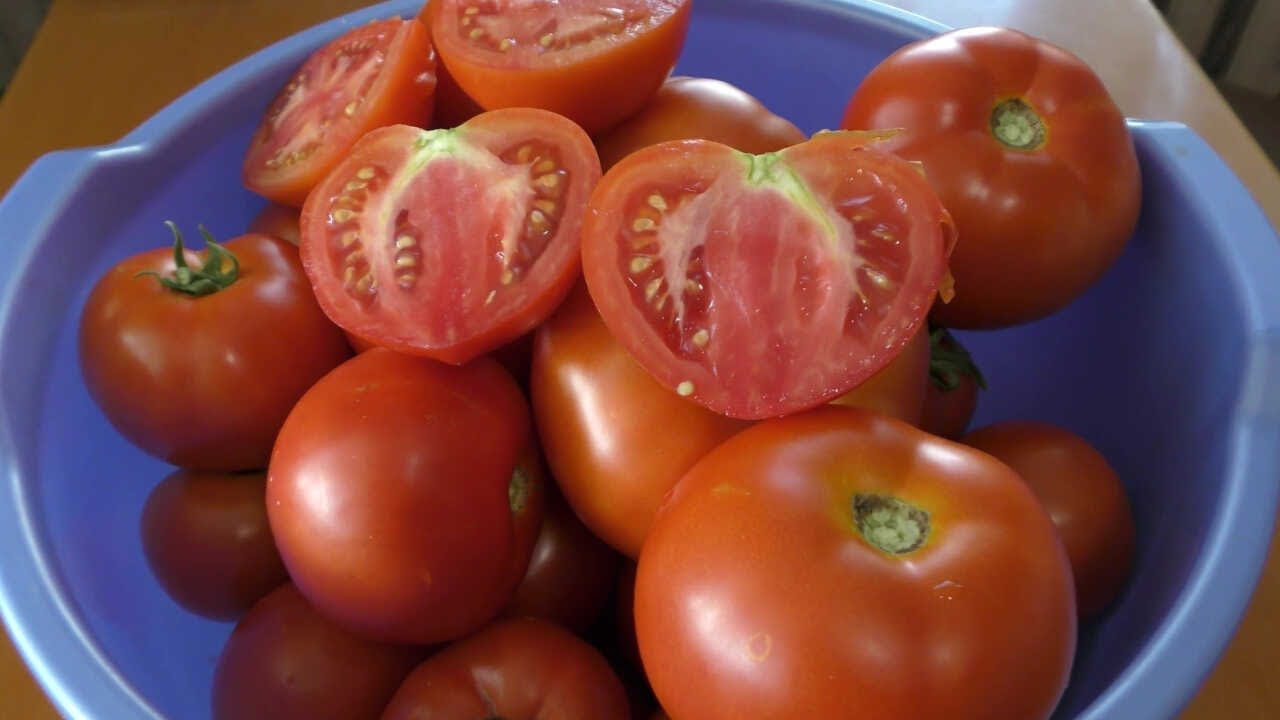 Агрономи назвали 5 сортів помідорів, які найкраще родять в Україні