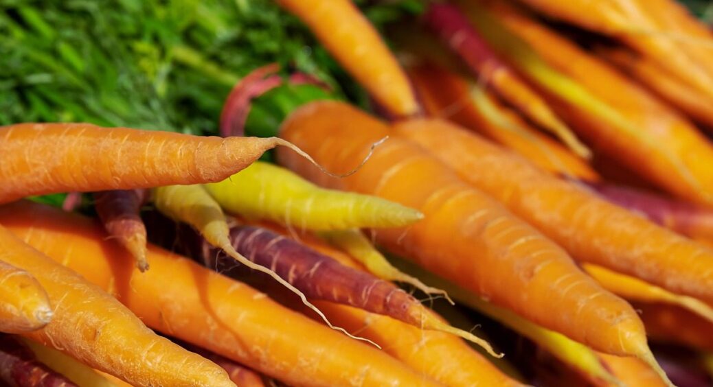 Ніколи НЕ саджайте моркву поряд з кропом: наукове пояснення несподіваної несумісності рослин 