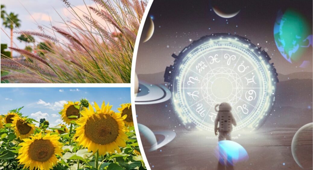 Гороскоп на літо 2025: гроші, удача та розкіш увійдуть у життя цих 5 знаків як літній шторм 