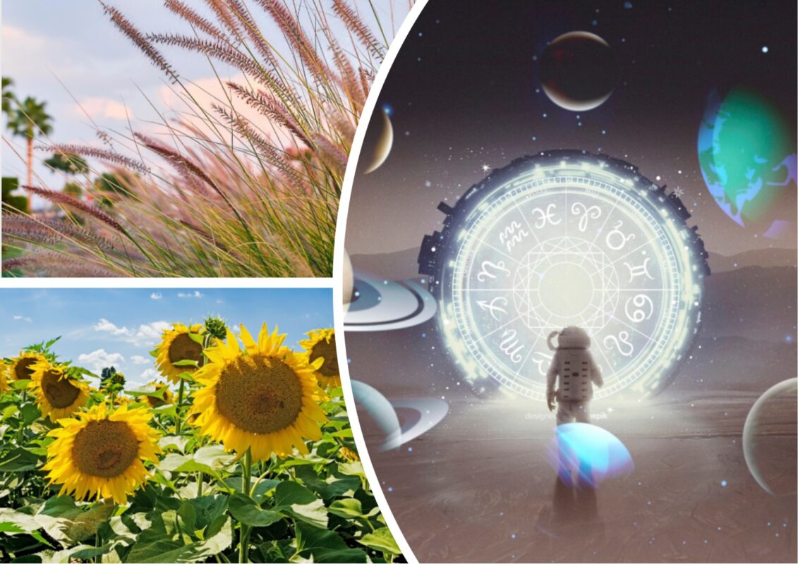 Гороскоп на літо 2025 для всіх знаків Зодіаку
