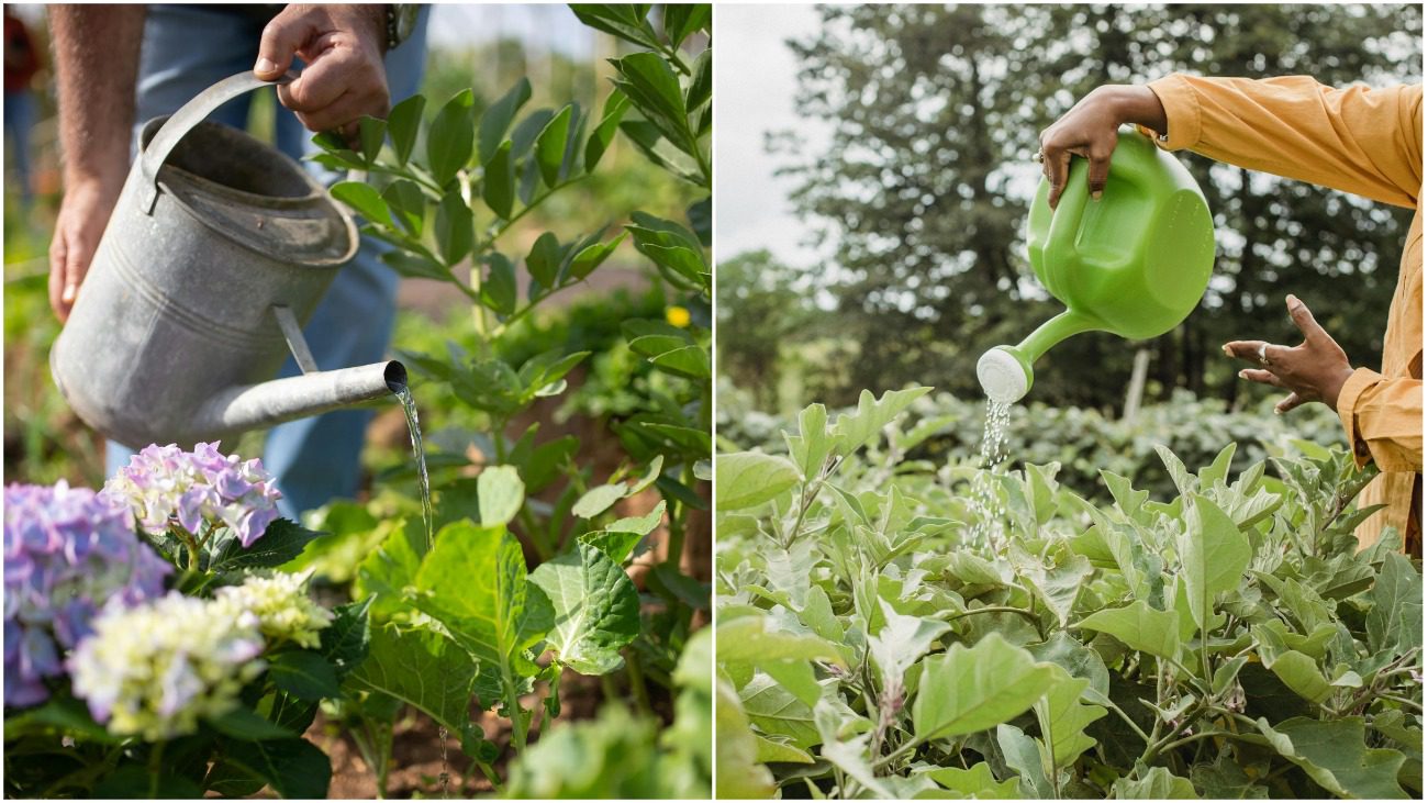 Як правильно вибрати ідеальну садову лійку для поливу