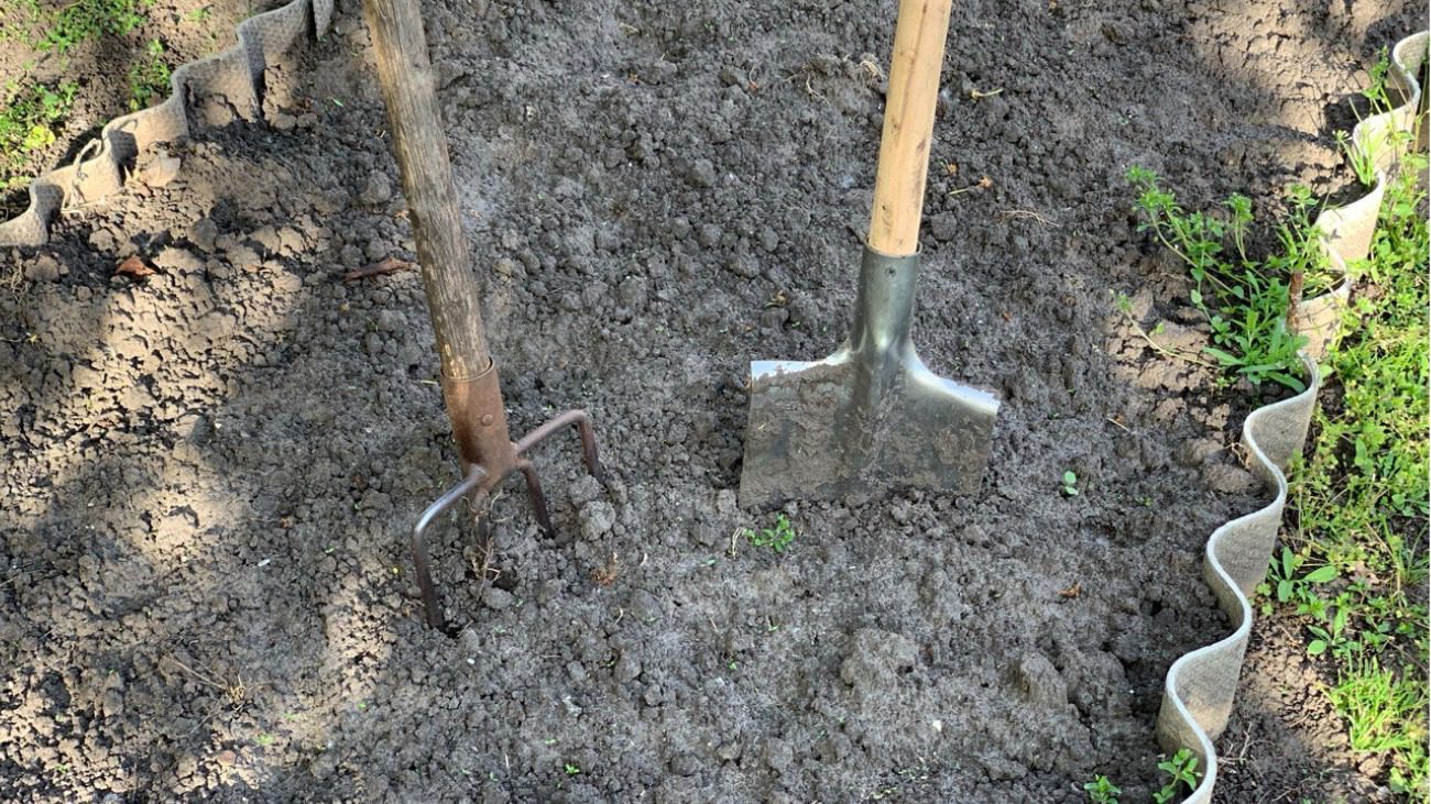 Копати чи не копати? Городники із Закарпаття розкрили всю правду