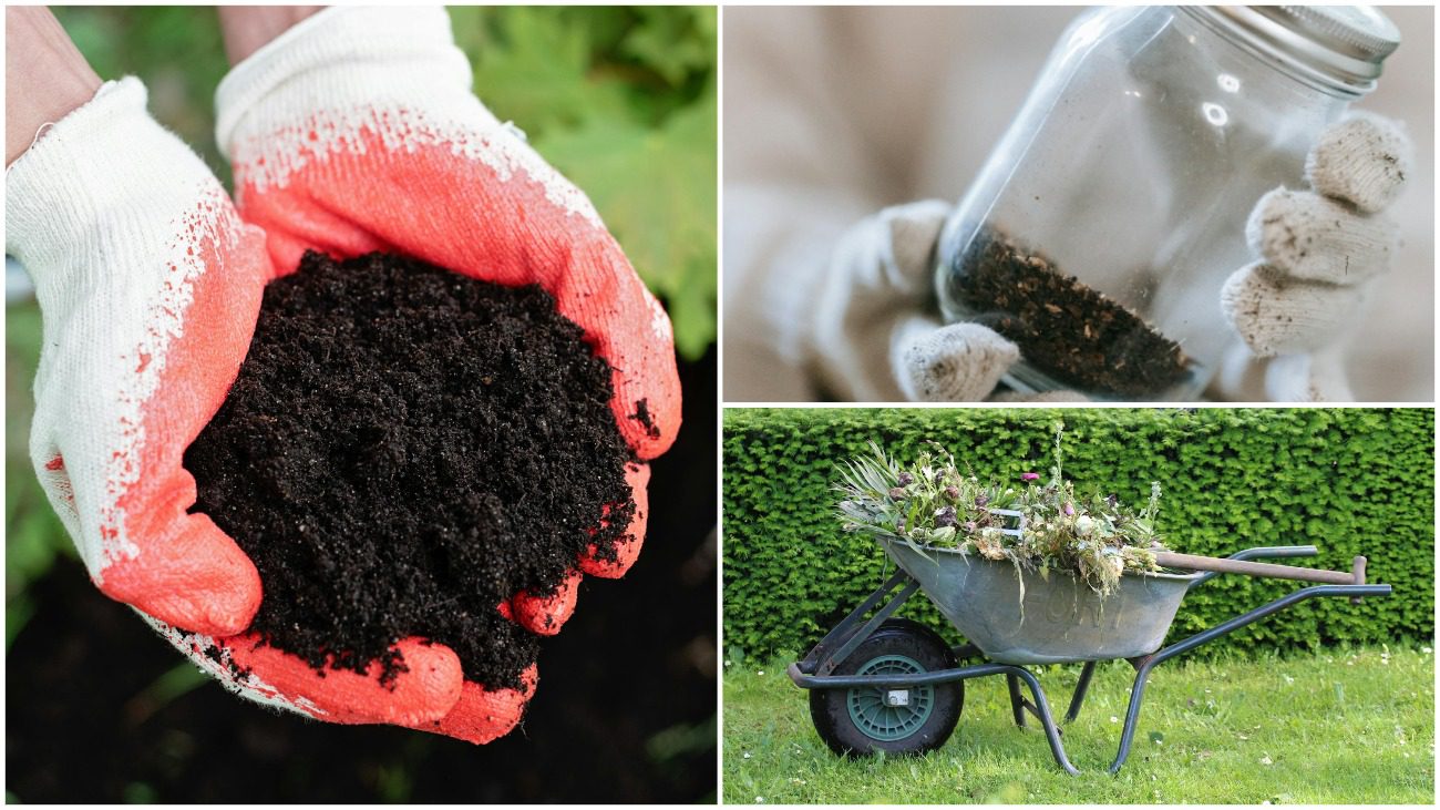 Одесити розкрили секрет супер-органічних добрив для саду та городу