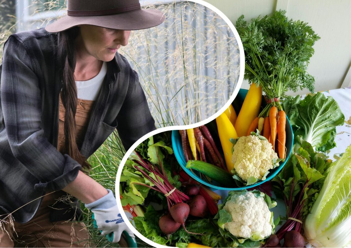 Городники розповіли, як приготувати суперзасоби для вирощування екологічно чистих овочів та ягід