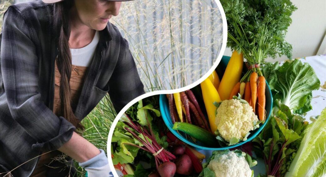 Вже багато років роблю тільки так: суперзасоби для вирощування екологічно чистих овочів та ягід 