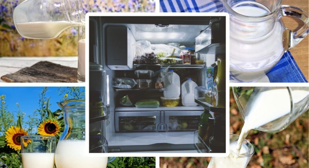 Щоб не “скисло” молоко: ось що зробити, щоб зберегти продукт в спеку свіжим без холодильника 