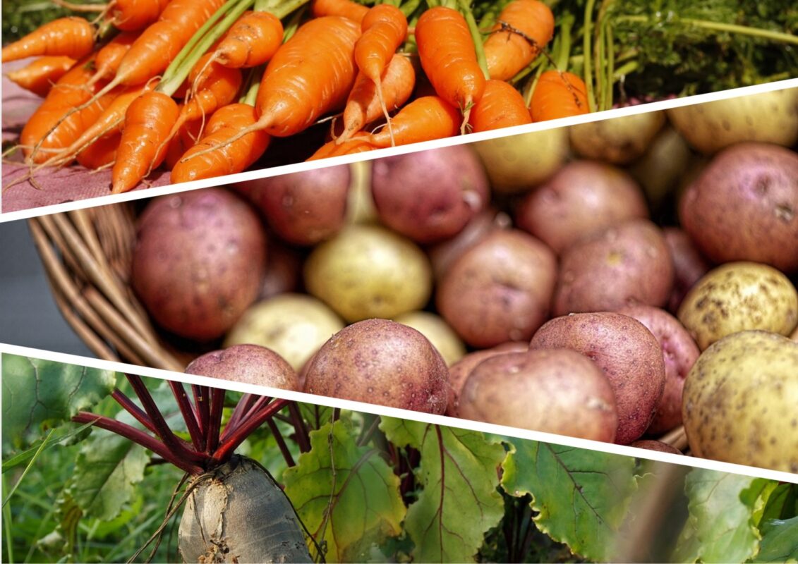 Які рослини не можна підживлювати дріжджами