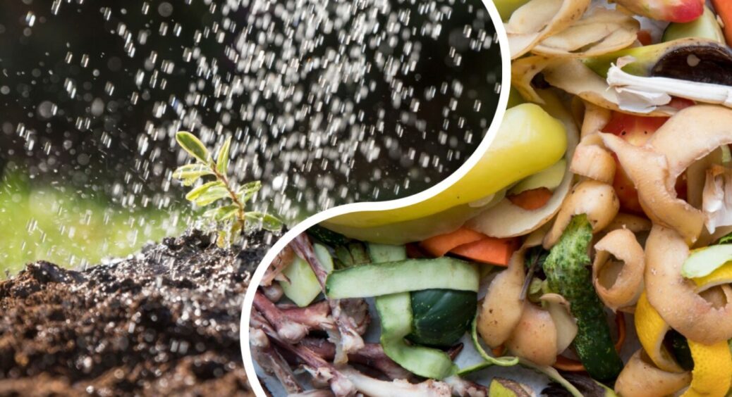 Що обирають агрономи – нітроамофоска чи компост: ось чим краще підживлювати рослини 