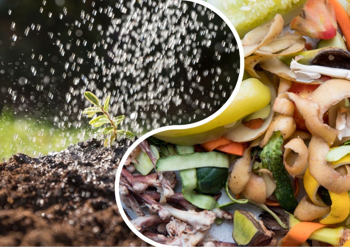 Нітроамофоска чи компост: агрономи розповіли, що краще