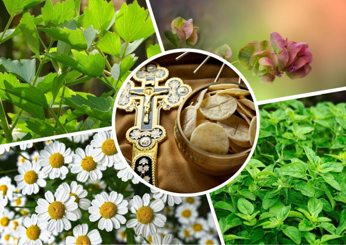 Які культури посіяти на городі до Трійці 2025 року