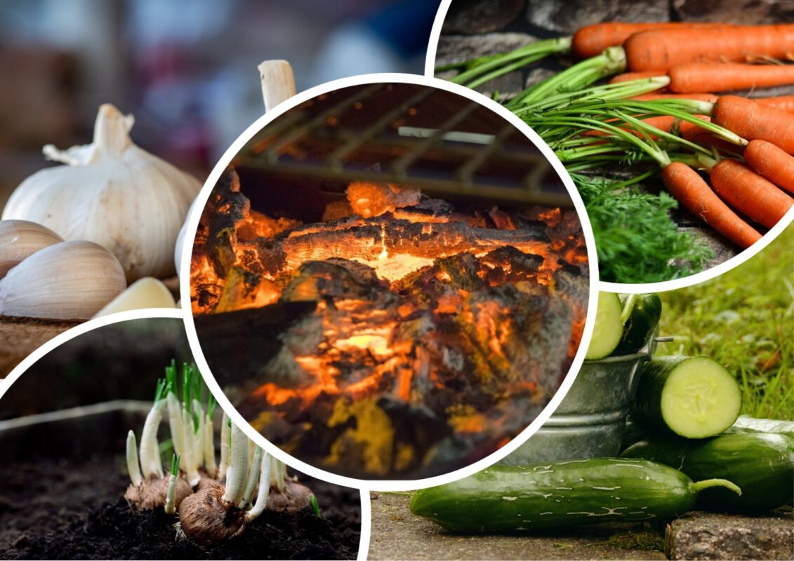 Які рослин полюбляють добрива на основі деревної золи