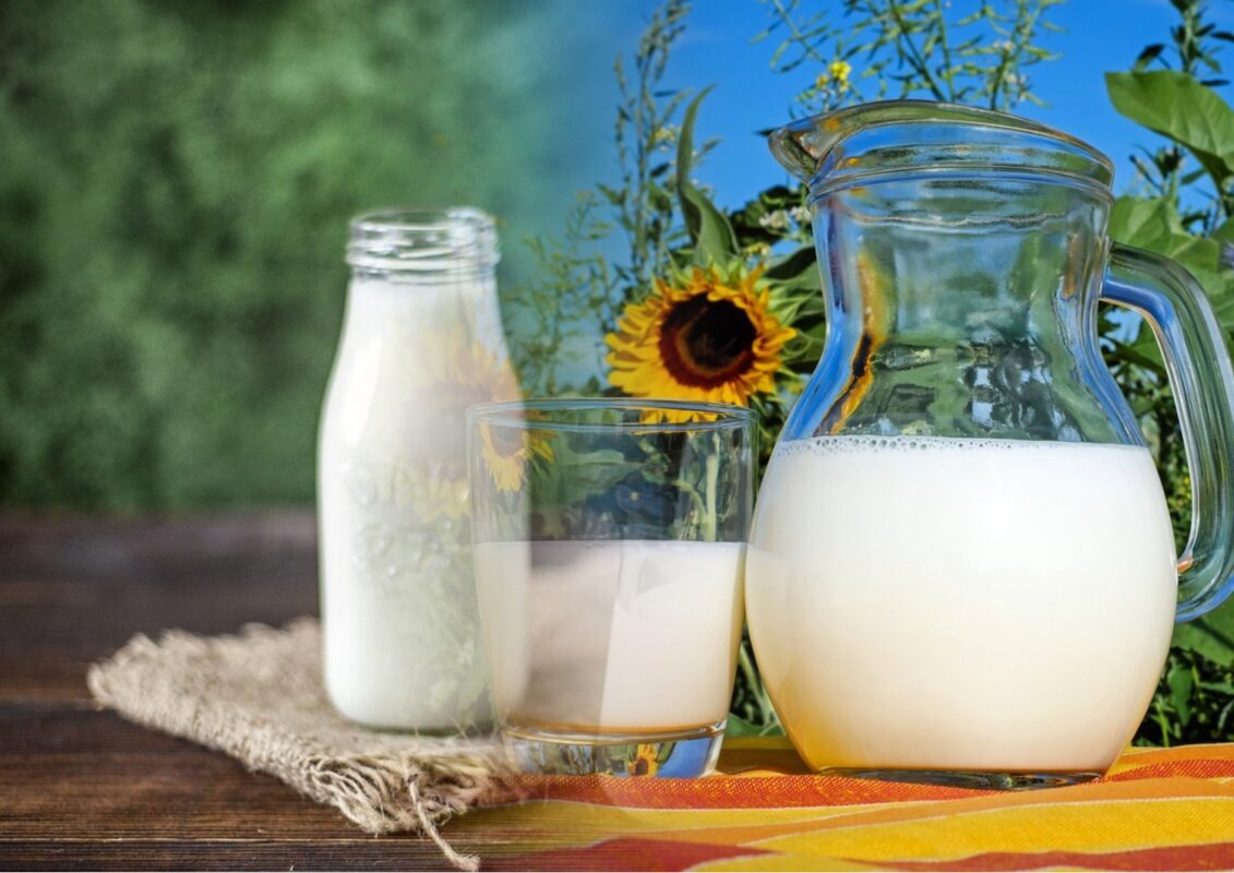 Експерти розповіли, як вберегти молоко від скисання без холодильнику