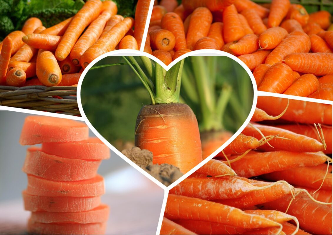 Садівники пояснили, який сорт моркви стійкий до розтріскування