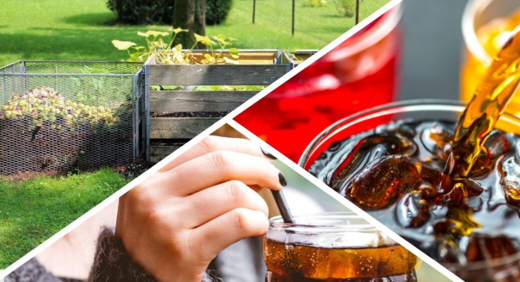 Кола впорається на 100%: дачники розсекретили, навіщо поливають компост солодкою газировкою 