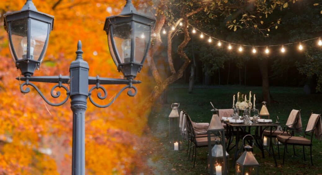 Штучне освітлення шкодить вашому саду: красу прибираємо убік – з рослинами станеться фіаско 