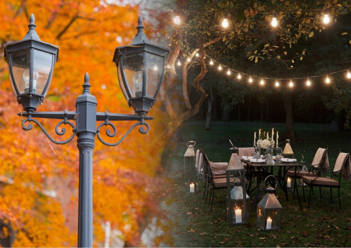 Як штучне освітлення впливає на рослини в саду