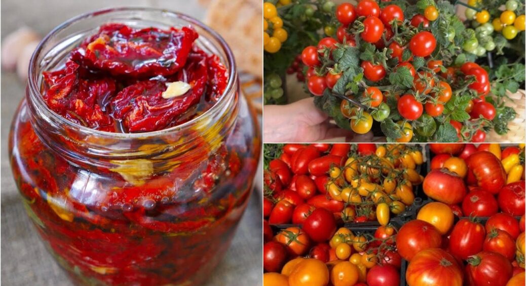 На в’ялені томати ідеально підходять лише 2 сорти: маленькі і красиво виглядають в банці 