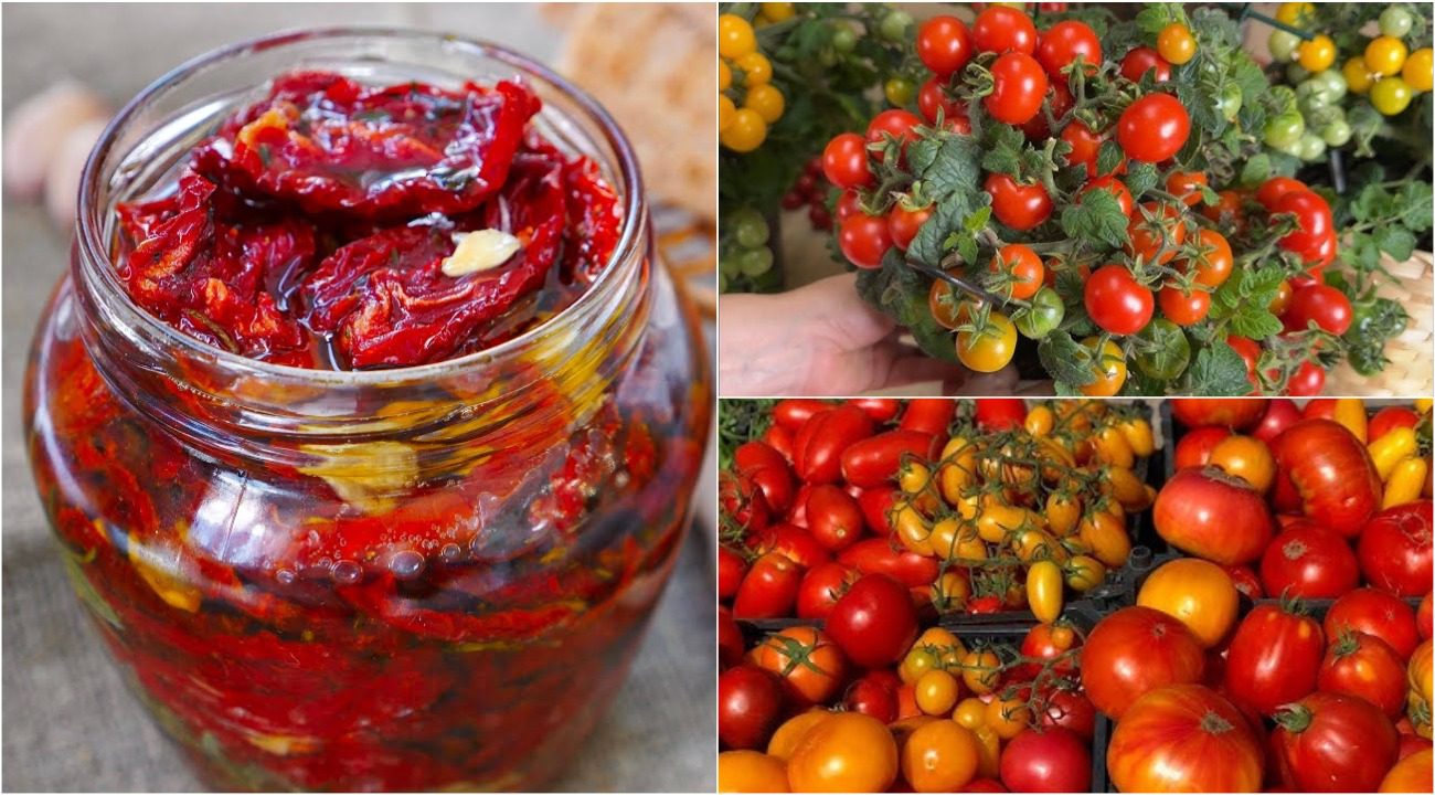 Експерти назвали 2 сорти томатів, які найкраще підходять для в'ялення