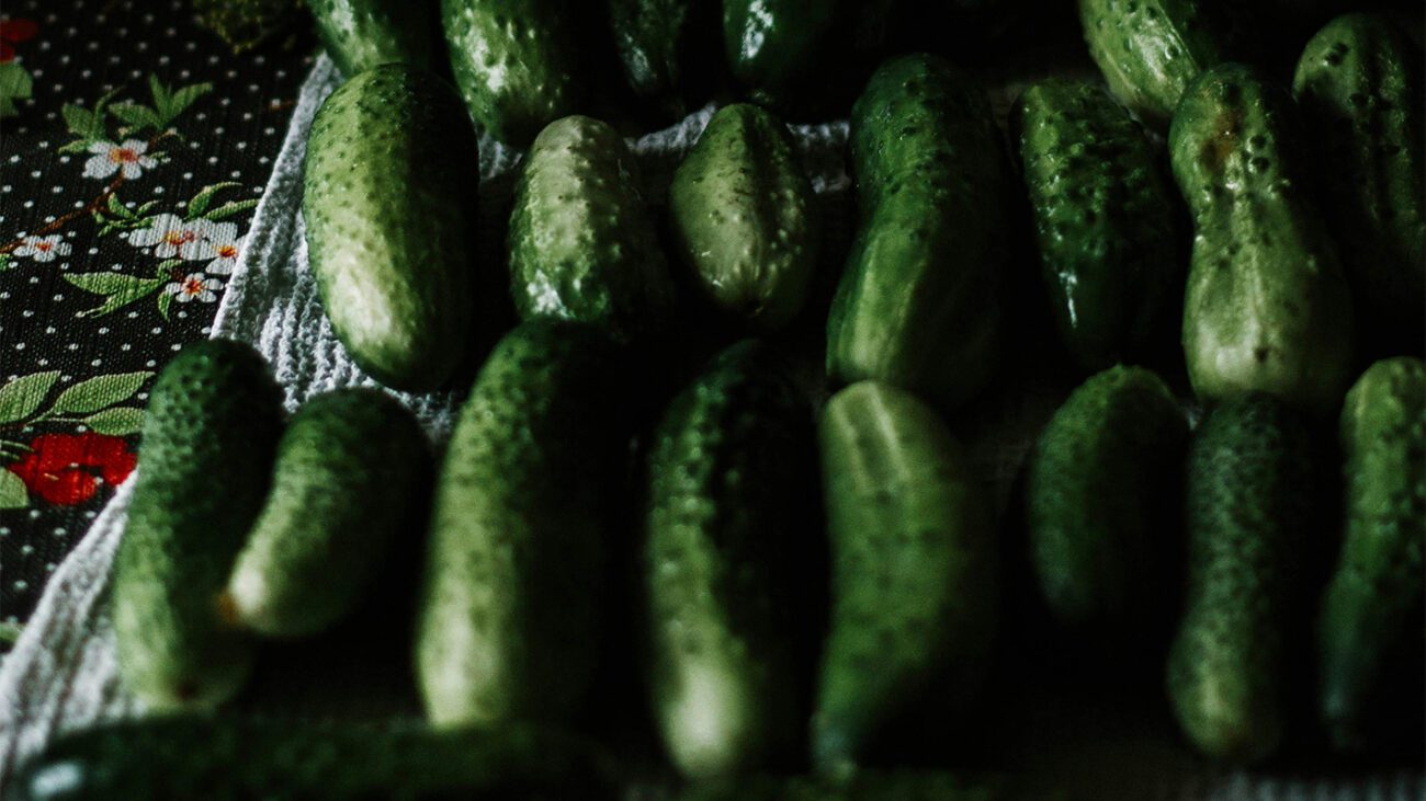 Як і коли висаджувати насіння огірків